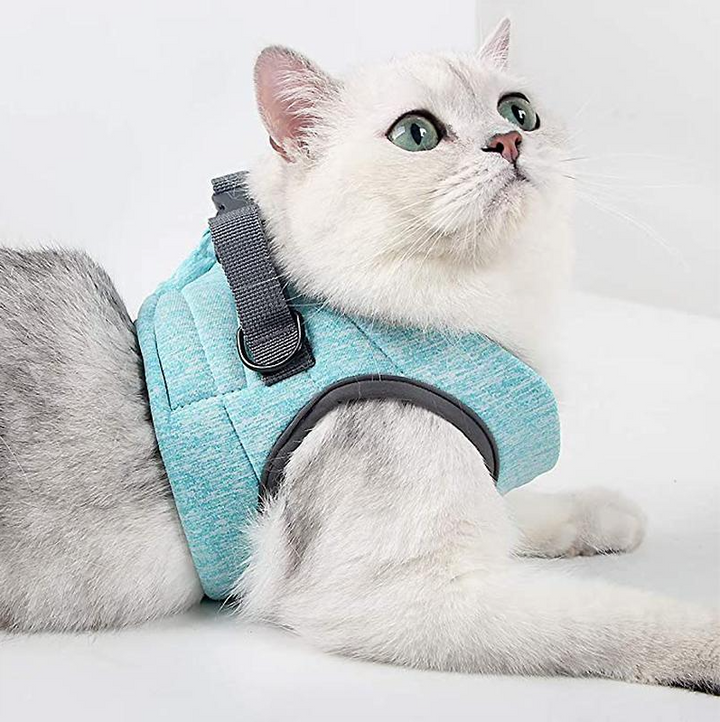 Front view of black breathable mesh cat harness, showcasing buckles and sturdy D-ring.