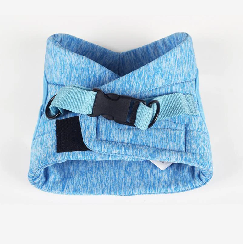 Model shot: A domestic short-haired cat comfortably wearing a blue breathable cat harness outdoors.