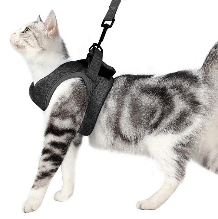 Package shot: New cat harness and leash set in packaging, depicting pet supplies for outdoor cats.