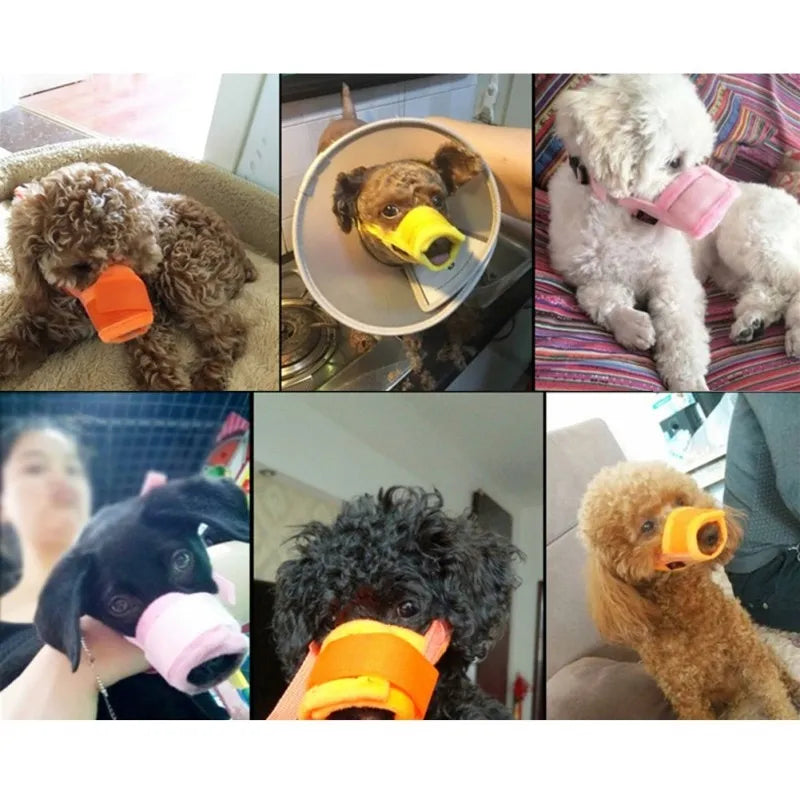 Dog wearing a secure mesh muzzle, perfect for grooming, vet visits, and public outings