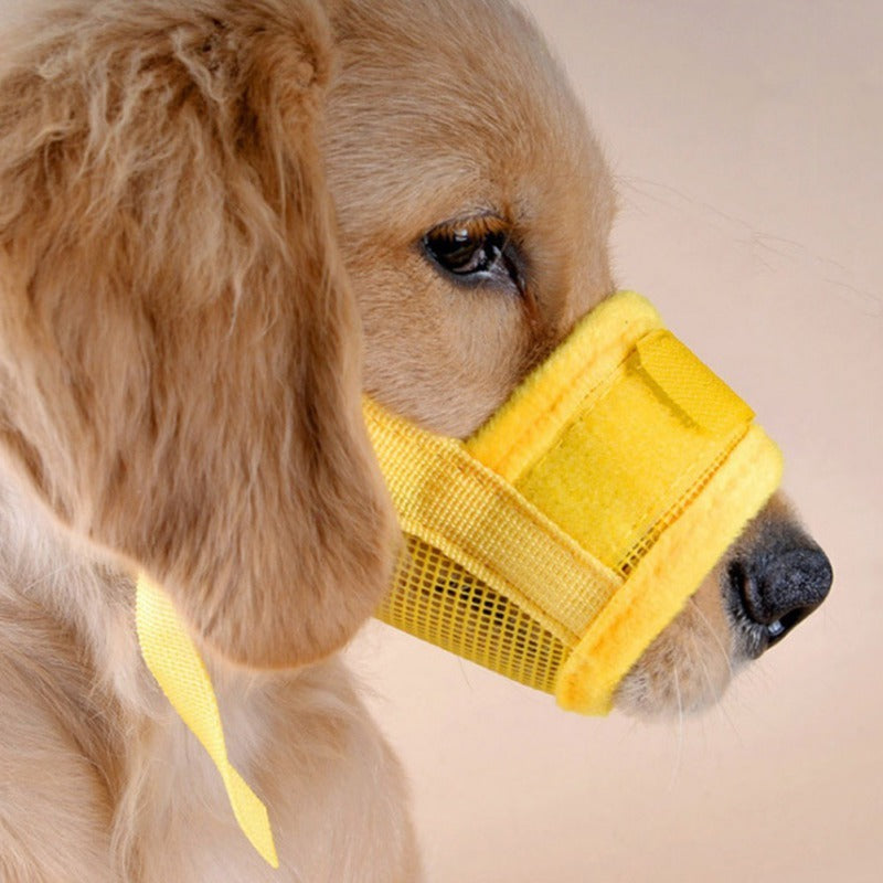 Close-up of a dog wearing a breathable mesh muzzle, showing secure fit and comfort