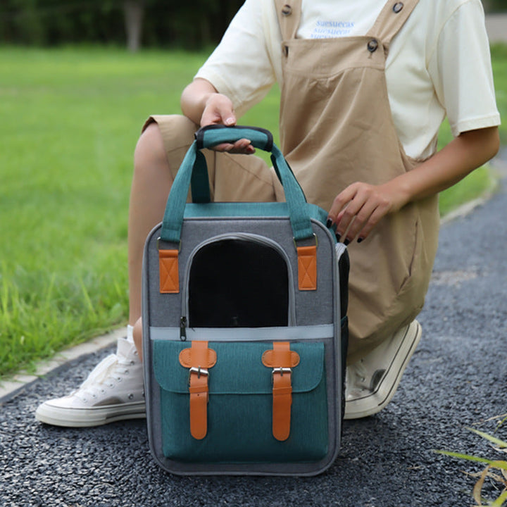 Cat pet carrier bag in blue, inside a car seat, secure pet travel accessory for cats