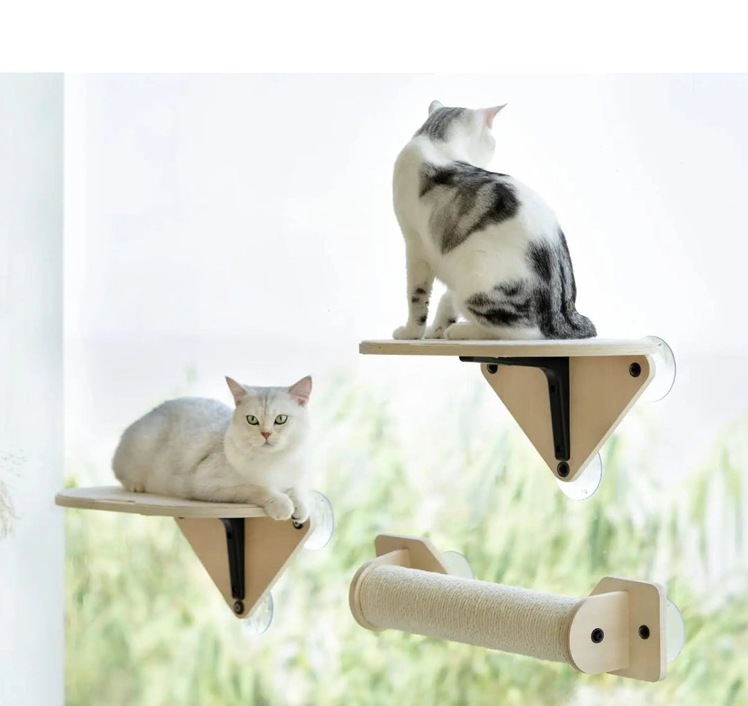 Comfortable cat window perch for sunbathing, featuring a built-in sisal scratching post