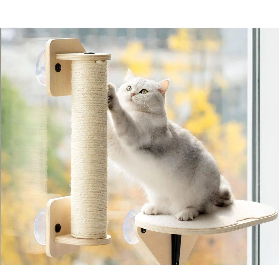 Unisex cat window lounger with a natural sisal climbing board and an elevated pet bed