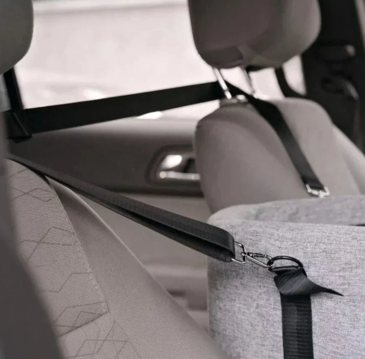 Dog enjoying a ride in a grey auto pet seat, emphasizing car safety and pet comfort