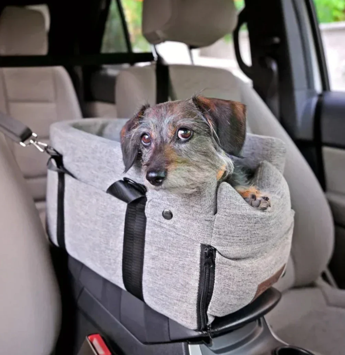 Unisex dog car seat secured in a vehicle, a essential pet accessory for safe travel