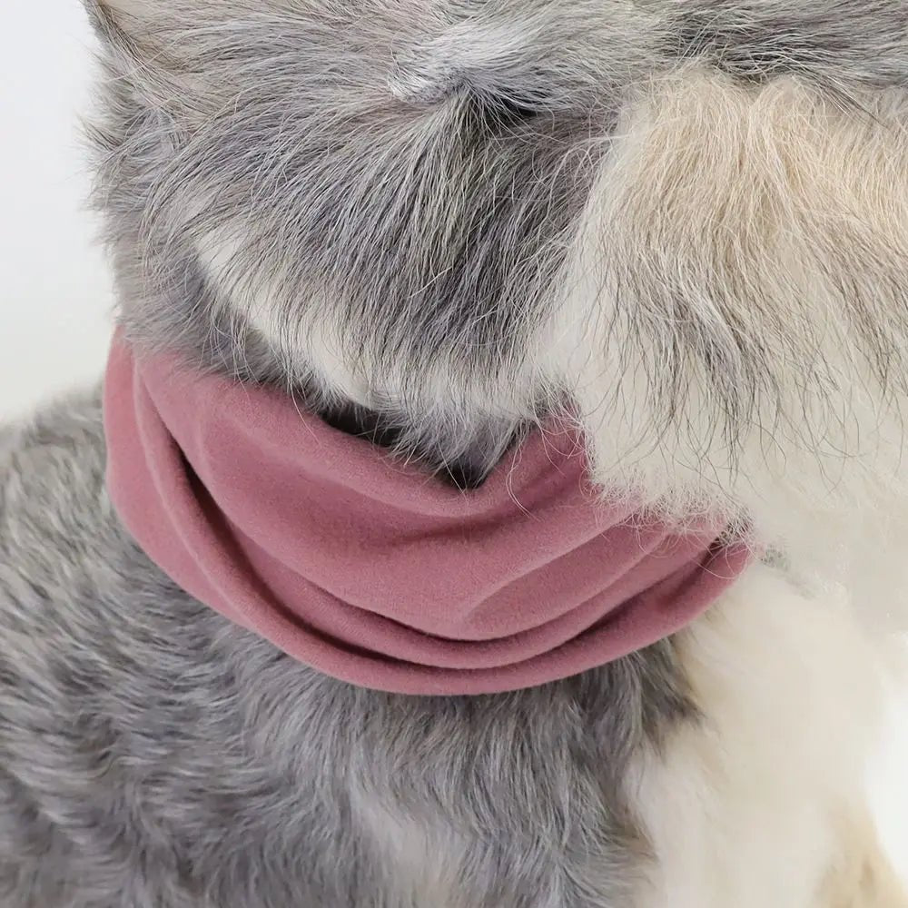 Warm pet snood, grey dog accessory offering ear protection and cozy comfort.
