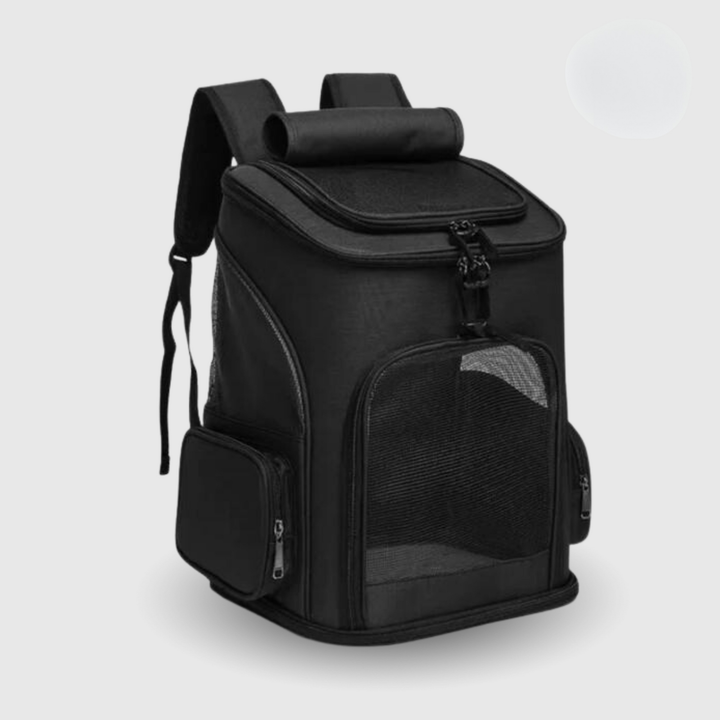 Ventilated pet travel backpack for cats, black with clear viewing dome, ideal for hiking and outdoors.