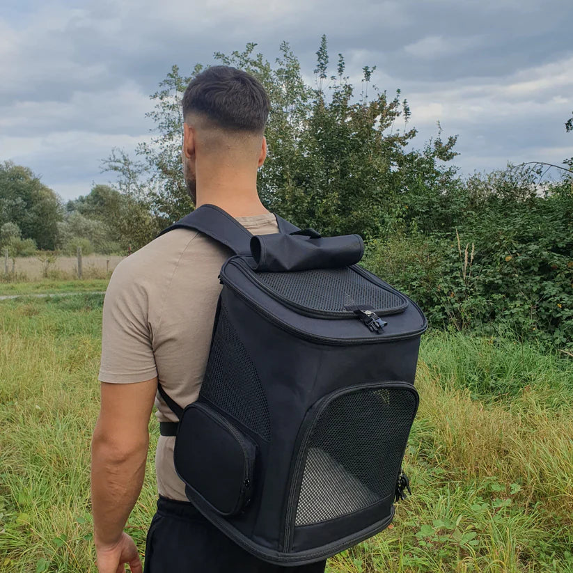 Pet accessory: black travel backpack with transparent viewing window, suitable for cats and small pets.