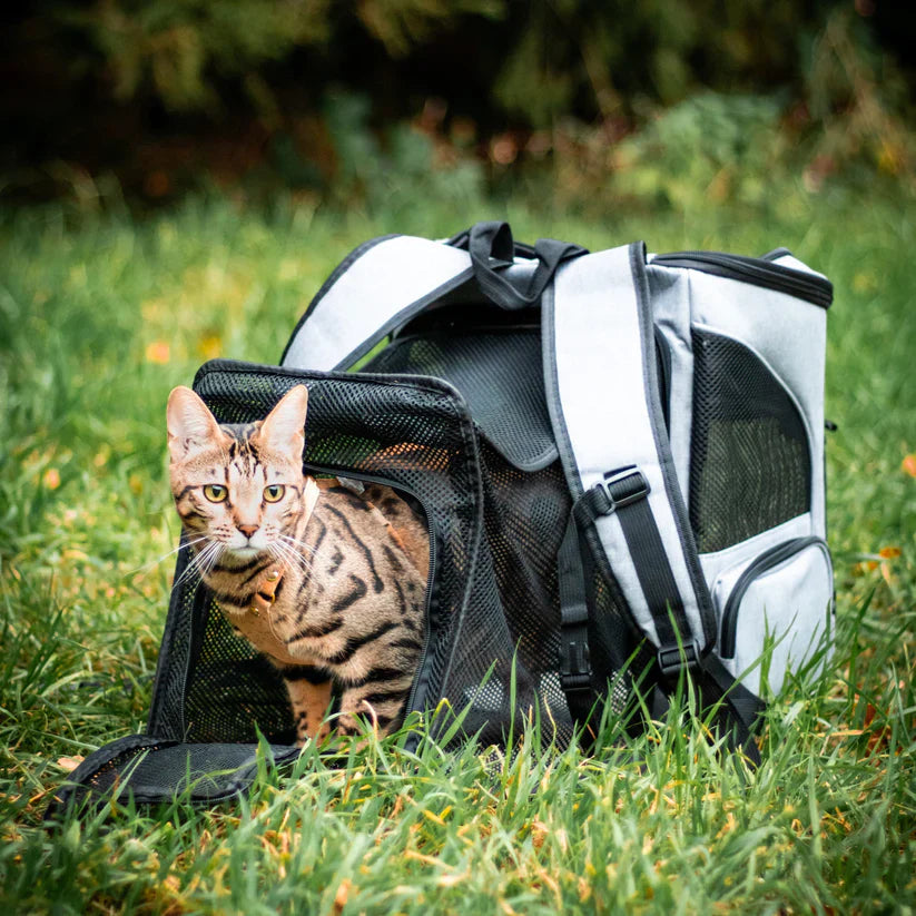 Comfortable pet travel backpack with secure viewing window, designed for cats and small dogs on the go.