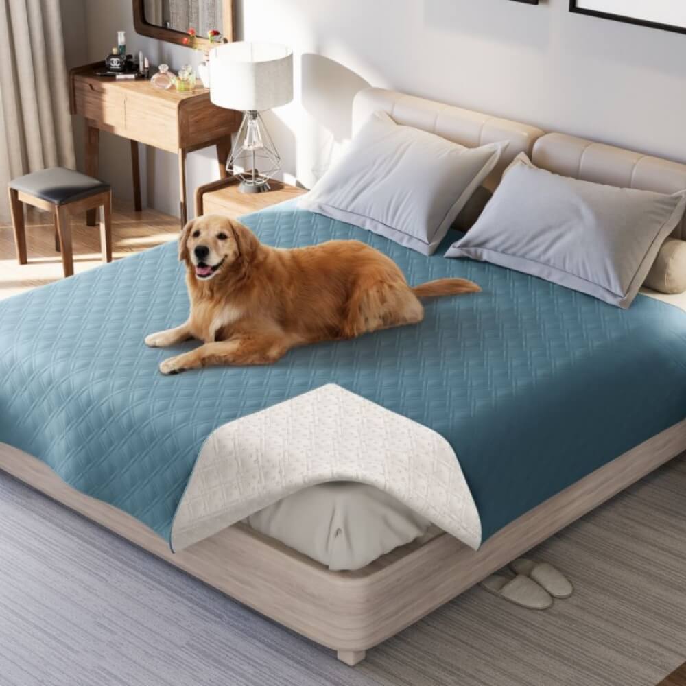 Grey pet water-resistant blanket protecting a sofa, flat sheet style for furniture.