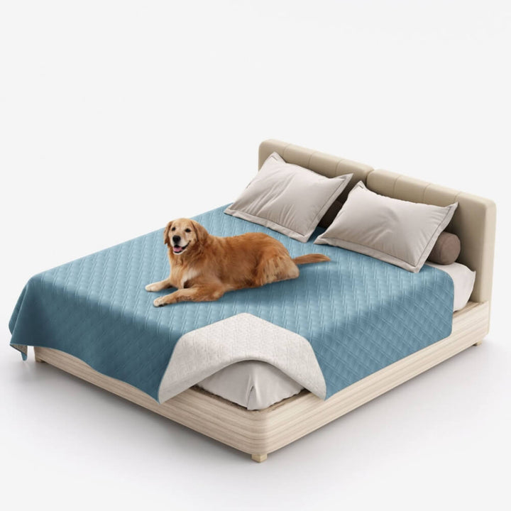 Pet water-resistant blanket in blue, offering waterproof protection for bed and furniture.