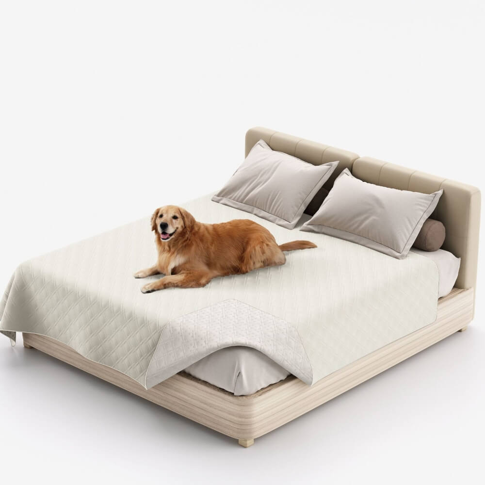 Stylish home decor with a pet water-resistant blanket, blended seamlessly on a sofa.