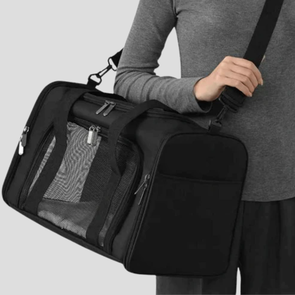 Small black mesh pet travel carrier for dogs with zipper closure and handles