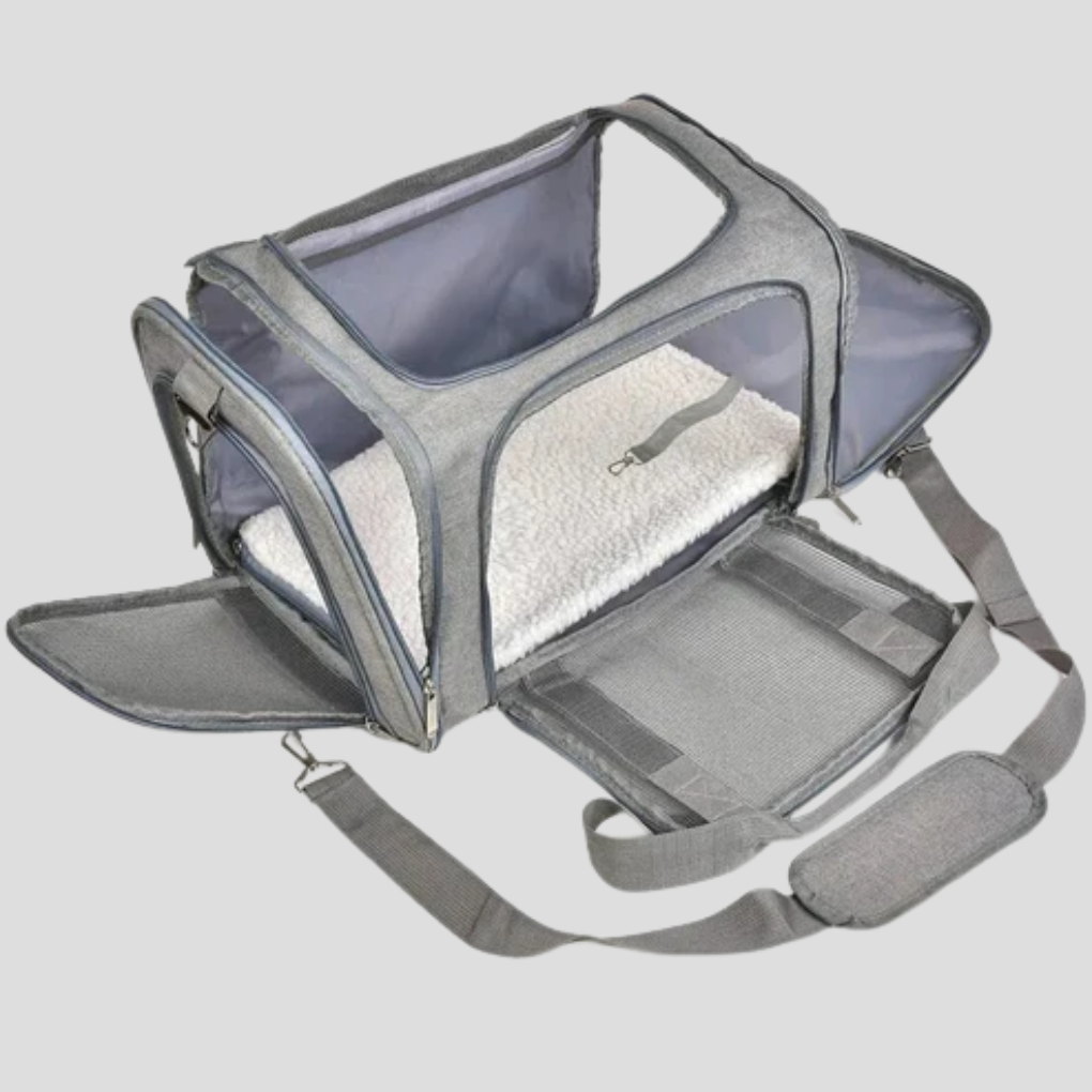 Airline approved grey dog carrier with mesh windows, suitable for small pets