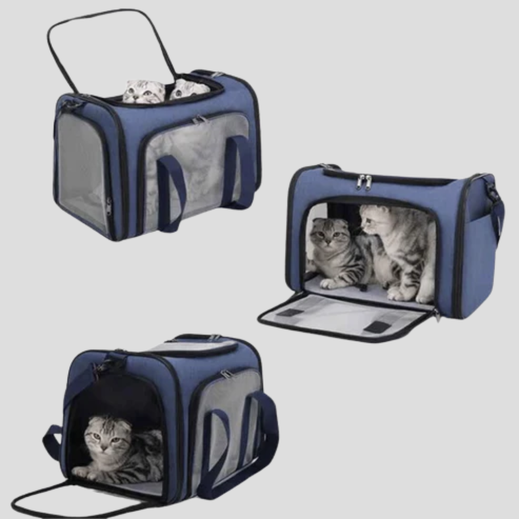 Portable pet carrier for small dogs in black, featuring durable fabric and mesh