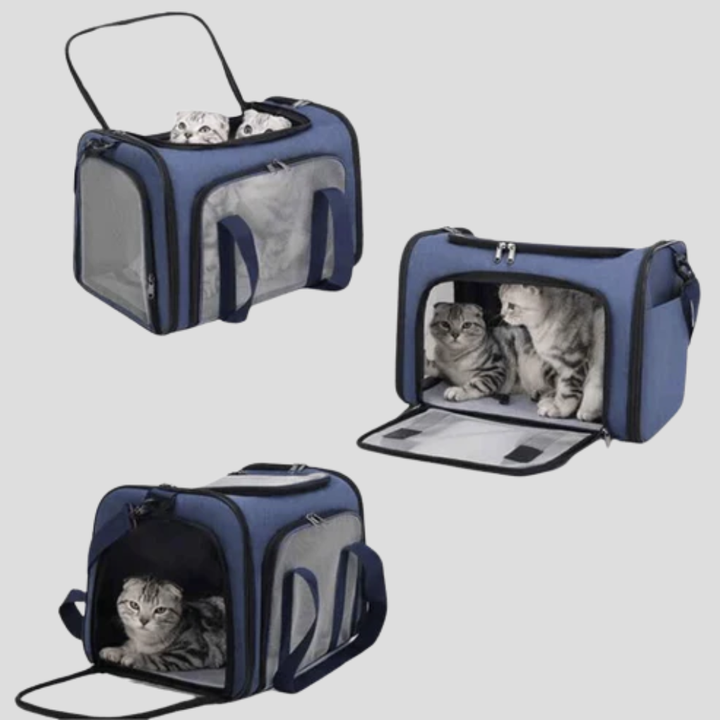 Portable pet carrier for small dogs in black, featuring durable fabric and mesh