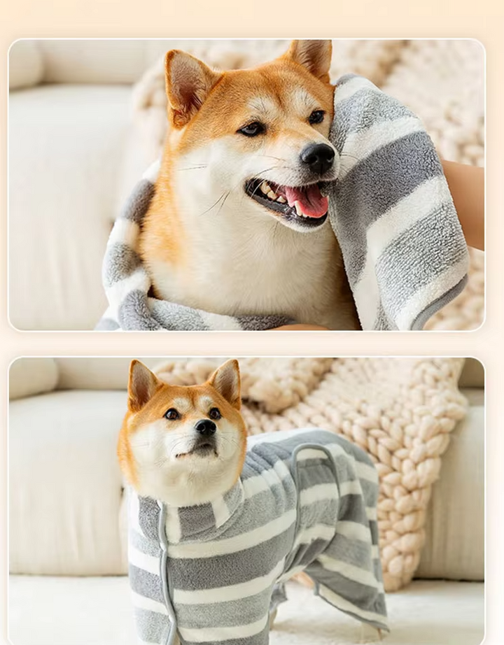 Dog in a grey striped microfiber bathrobe, quick dry solution for pet care and health