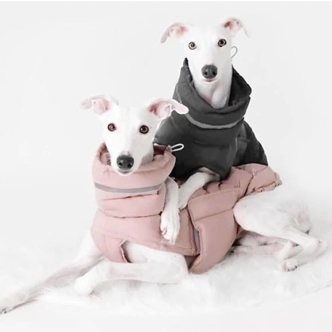 Dog winter vest with soft interior lining, ensuring pet comfort and warmth