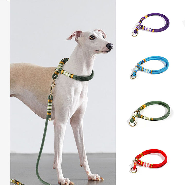 Durable hand-knitted nylon webbing no-pull dog training collar, a pet accessory.