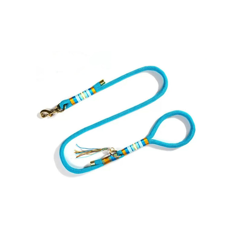 Stylish and functional hand-knitted no-pull dog collar, perfect for daily training.