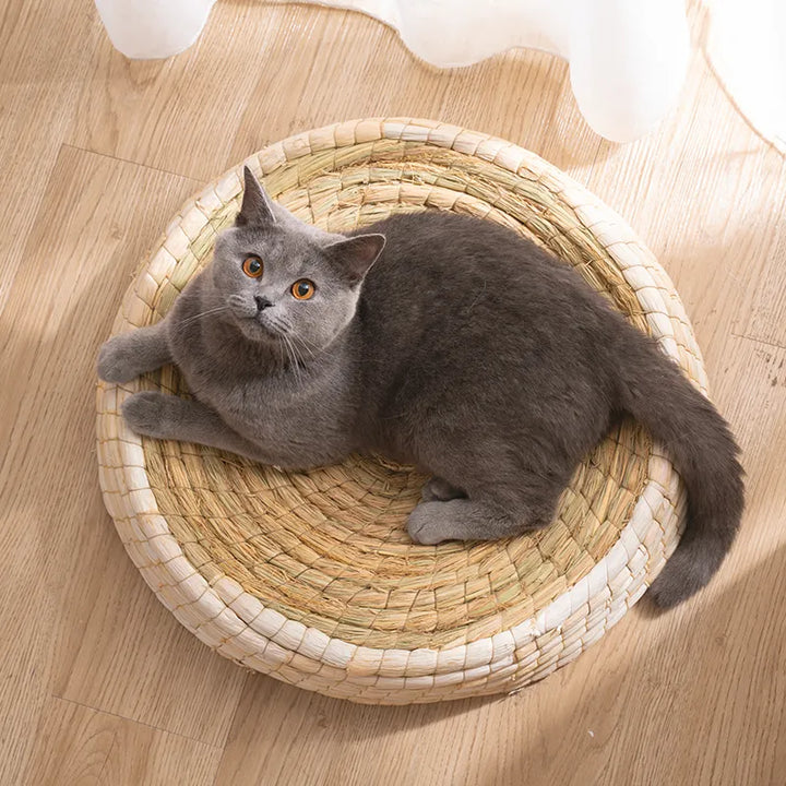 Close-up of natural fiber texture on a handmade round cat bed, perfect for scratching.