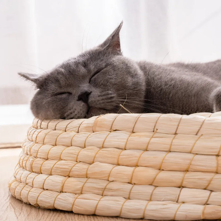 Stylish handmade cat bed made from natural fibers, doubles as a pet scratcher.