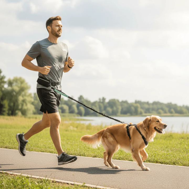 Bungee hands-free dog leash in black nylon, secured around a person's waist, ideal for running.
