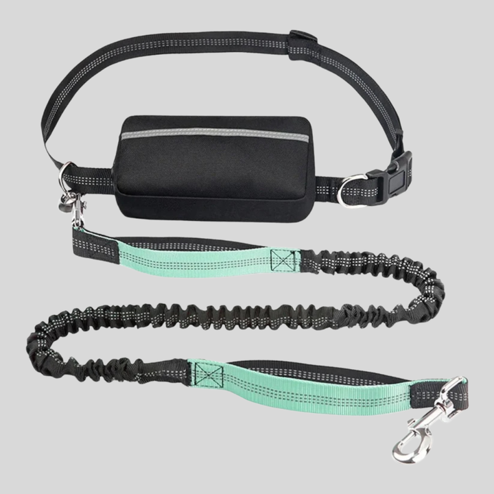 Close-up of the adjustable waist belt and durable bungee leash for hands-free dog walking.