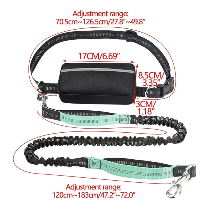Reflective hands-free dog leash, showing the strong nylon and bungee-style for active pet owners.