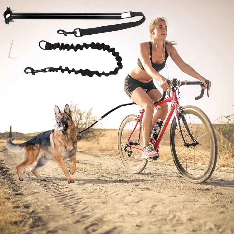 Pet gear: shock-absorbing bicycle leash for dogs, attaching securely for hands-free biking
