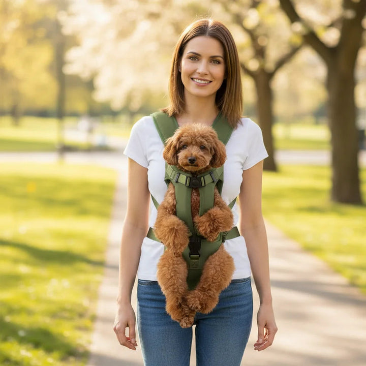 Small dog in a hands-free pet carrier backpack, enjoying the view while owner walks.