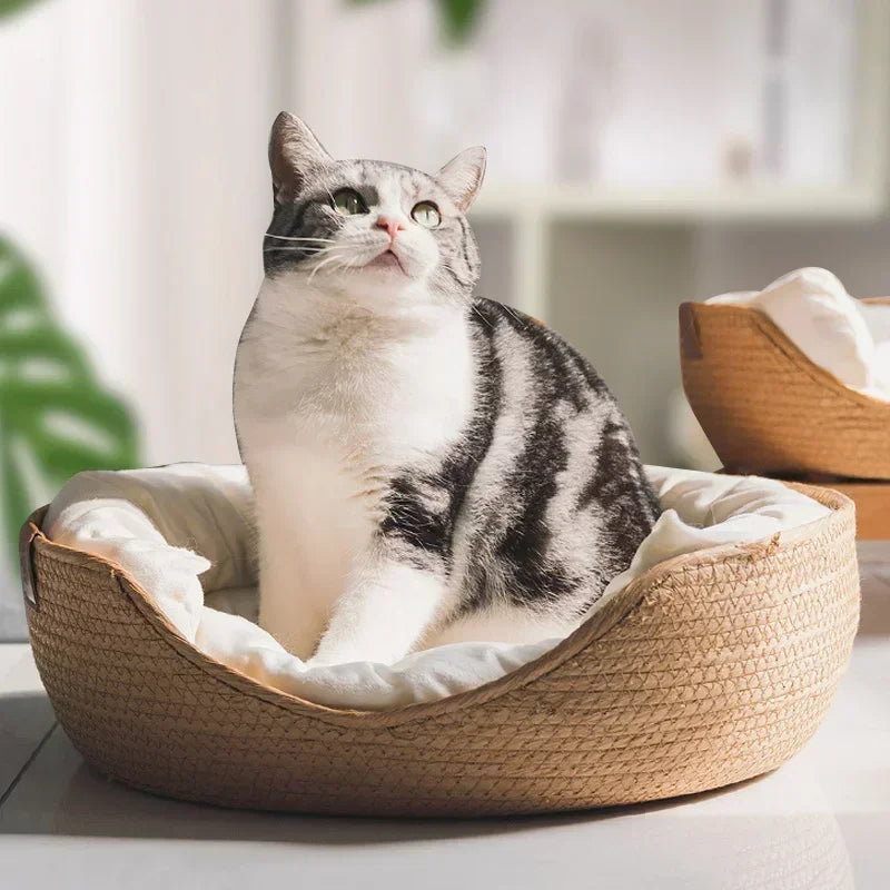 Eco-friendly pet furniture: round handwoven cotton cat bed with plush cushion for ultimate comfort.