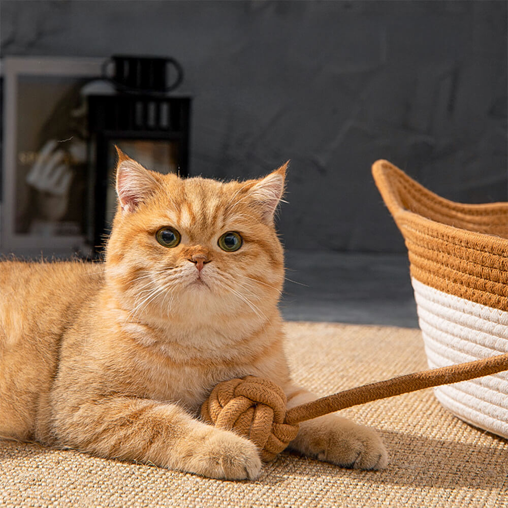 Green handwoven pet bed in a living room setting, elegant cat furniture for small animals