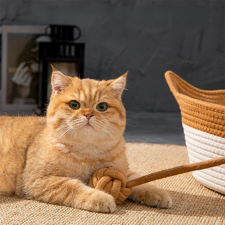 Green handwoven pet bed in a living room setting, elegant cat furniture for small animals