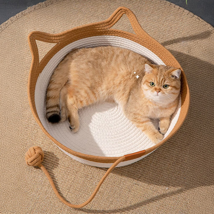 Small cat peering from a comfy handwoven grey pet bed, cozy & inviting cat supplies