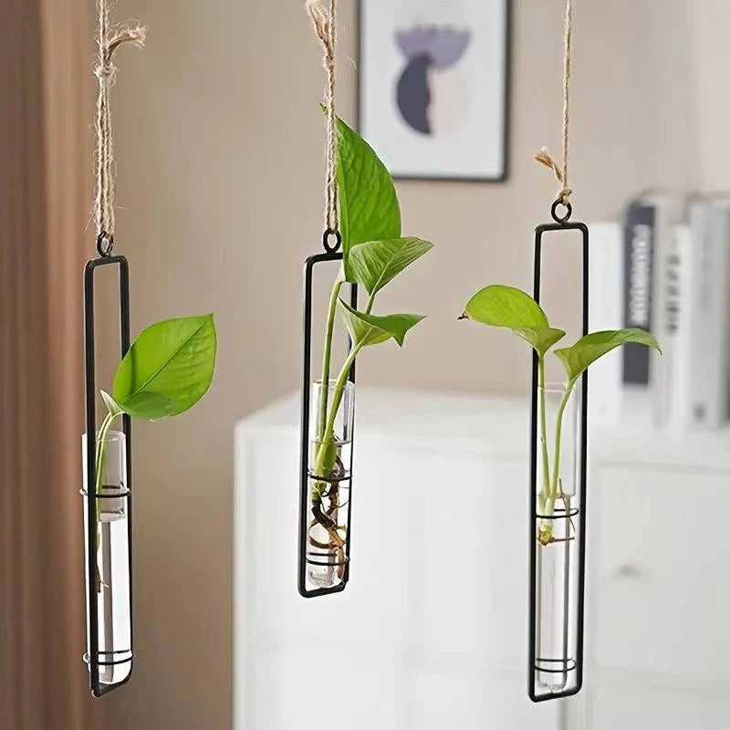 Vertical garden display with hanging glass tube planters, ideal for plant cuttings & living walls.