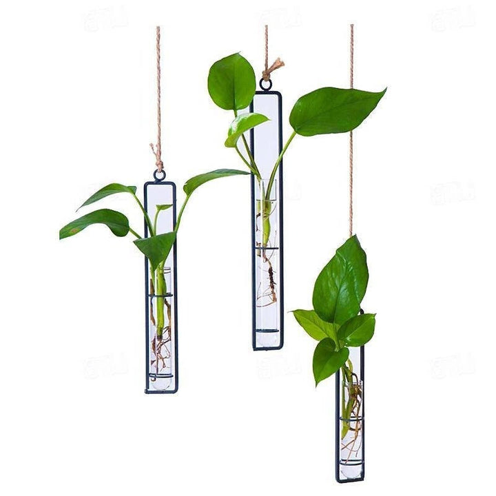 Stylish glass tube propagation station set for plant cuttings, enhancing natural home decor.