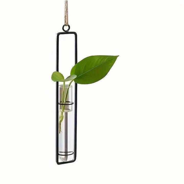 Elegant hanging glass wall planters for multiple plant cuttings, creating a beautiful indoor garden.