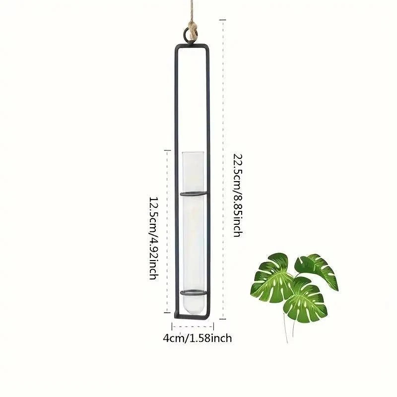 Decorative glass tube wall planter for easy plant propagation & minimalist decor in your home.