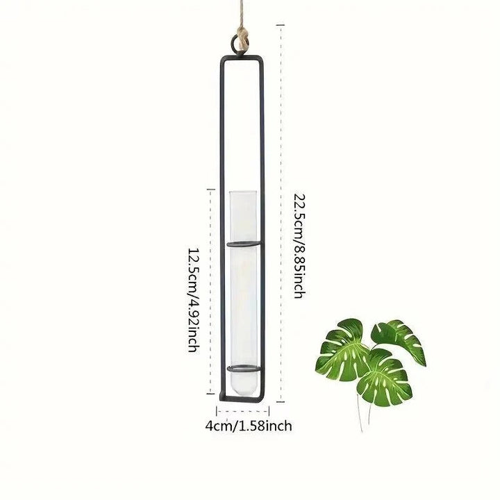 Decorative glass tube wall planter for easy plant propagation & minimalist decor in your home.