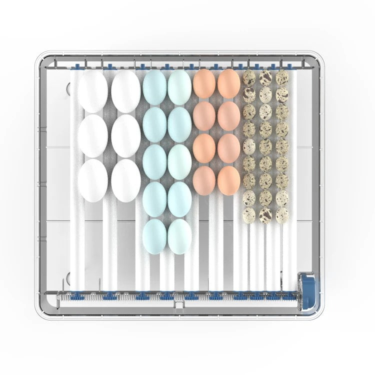 Automatic egg incubator for home farming, featuring precise temperature, humidity control & auto egg turning.