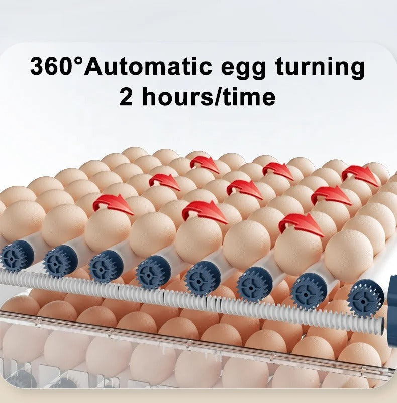 HatchEase automatic egg incubator for hatching poultry. Features digital display, auto-turn, & humidity control.