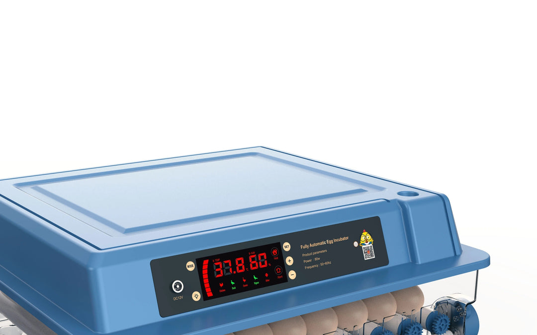 Advanced automatic egg incubator for safe bird hatching. Offers precise temperature, humidity, and auto egg turn.