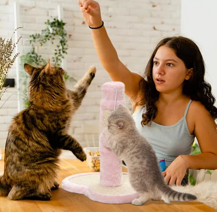Heart-shaped cat scratcher post with sisal and interactive hanging toy for playful cats.