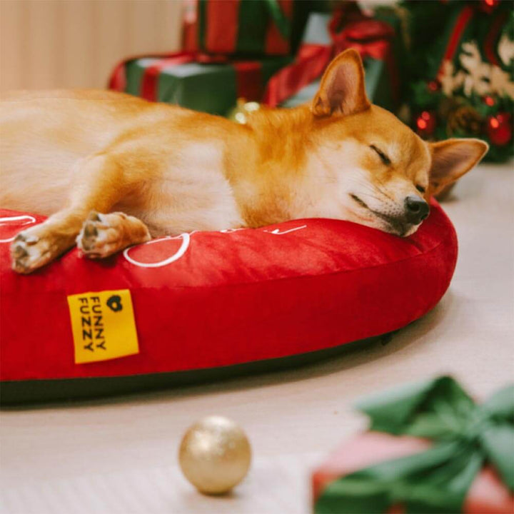 Close-up of heart-shaped red velvet dog bed, showing plush fabric and cushioned sides, anti-slip base