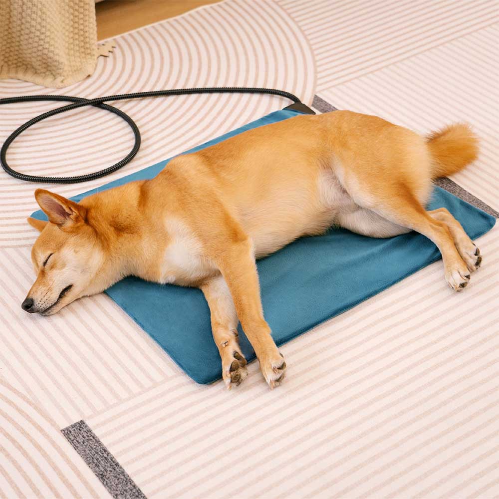 Portable heated dog mat, perfect for indoor use, ensures a warm and cozy spot for pets all winter.