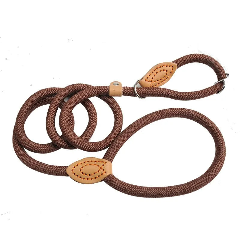 Heavy-duty black slip rope dog leash, perfect for training and large dog walking.