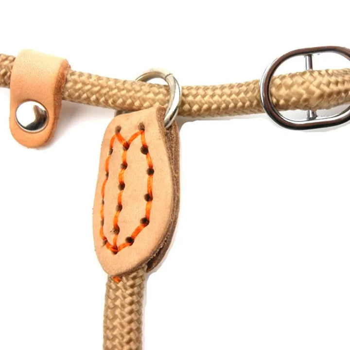 Close-up of a heavy-duty black slip rope dog leash with braided detail for large dogs.