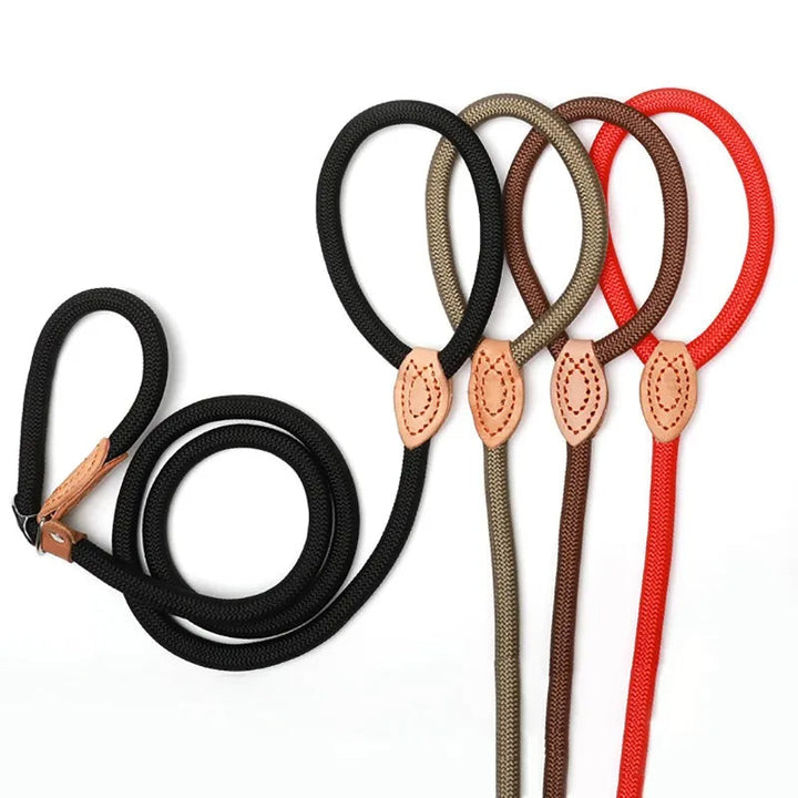 Versatile black slip lead dog leash, ideal for obedience training and daily walks.
